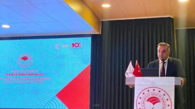 Türkiye’nin dünya lideri olduğu ve AB coğrafi işaret tesciline sahip