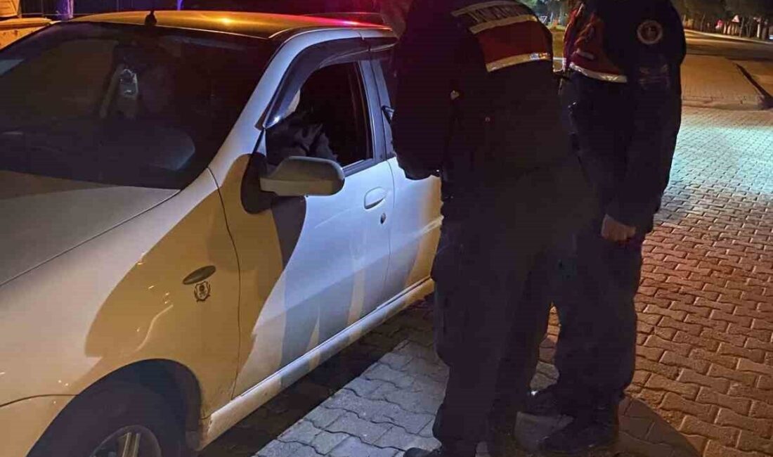 Aydın genelinde jandarma ekiplerince gerçekleştirilen ’Çember-110’ operasyonu kapsamında çeşitli suçlardan