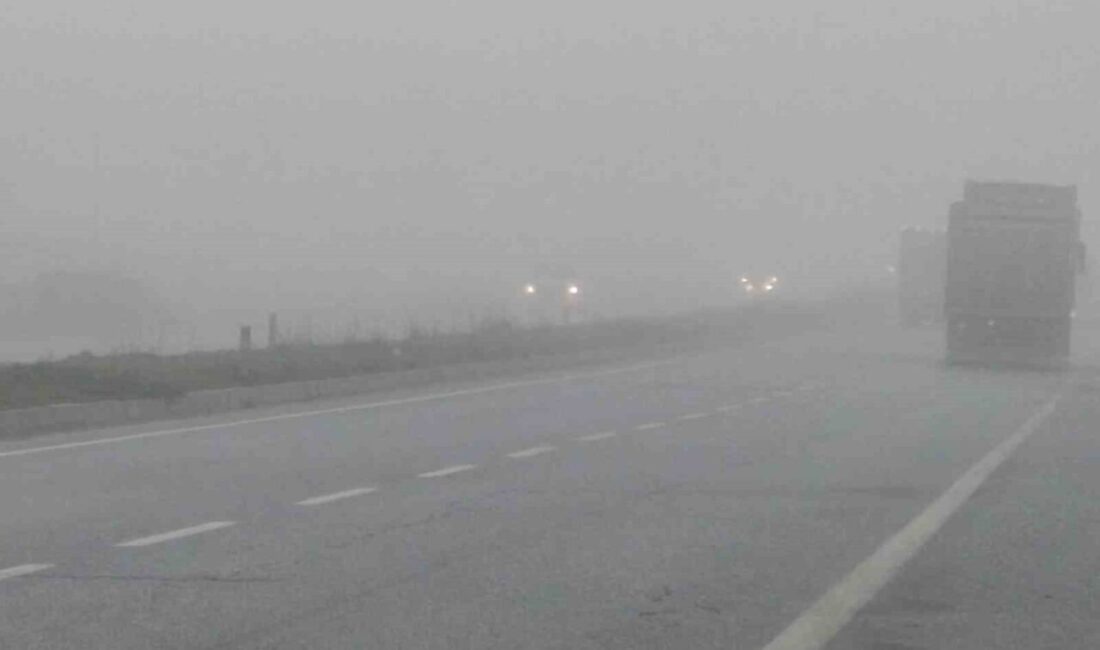 Aydın-Muğla karayolunun Çine ilçe girişi mevkiinde etkili olan yoğun sis