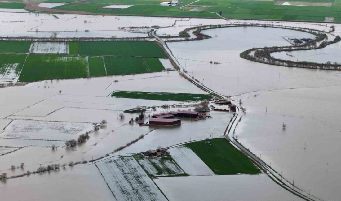 Aydın’ın Koçarlı ilçesinde birçok araziyi sular altında bırakan taşkının izleri