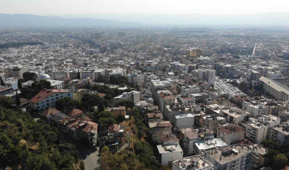 TÜİK tarafından açıklanan 2025 yılı sonuçlarına göre 2024 yılında 1