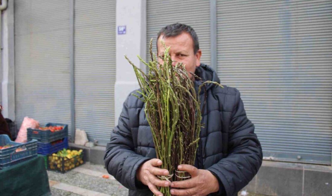 Aydın dağlarında bahar mevsiminde doğada kendiliğinden çıkan, halk arasında acı