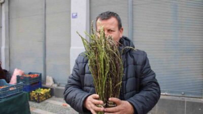 Aydın dağlarında bahar mevsiminde doğada kendiliğinden çıkan, halk arasında acı