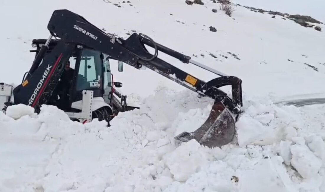 Bitlis’in Adilcevaz ilçesine bağlı Süphan Dağı eteklerindeki Aydınlar beldesinde karla