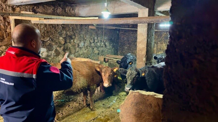 Bayburt’un Aydıntepe ilçesinde Kırsalda Bereket Hayvancılığa Destek Projesi kapsamında 3