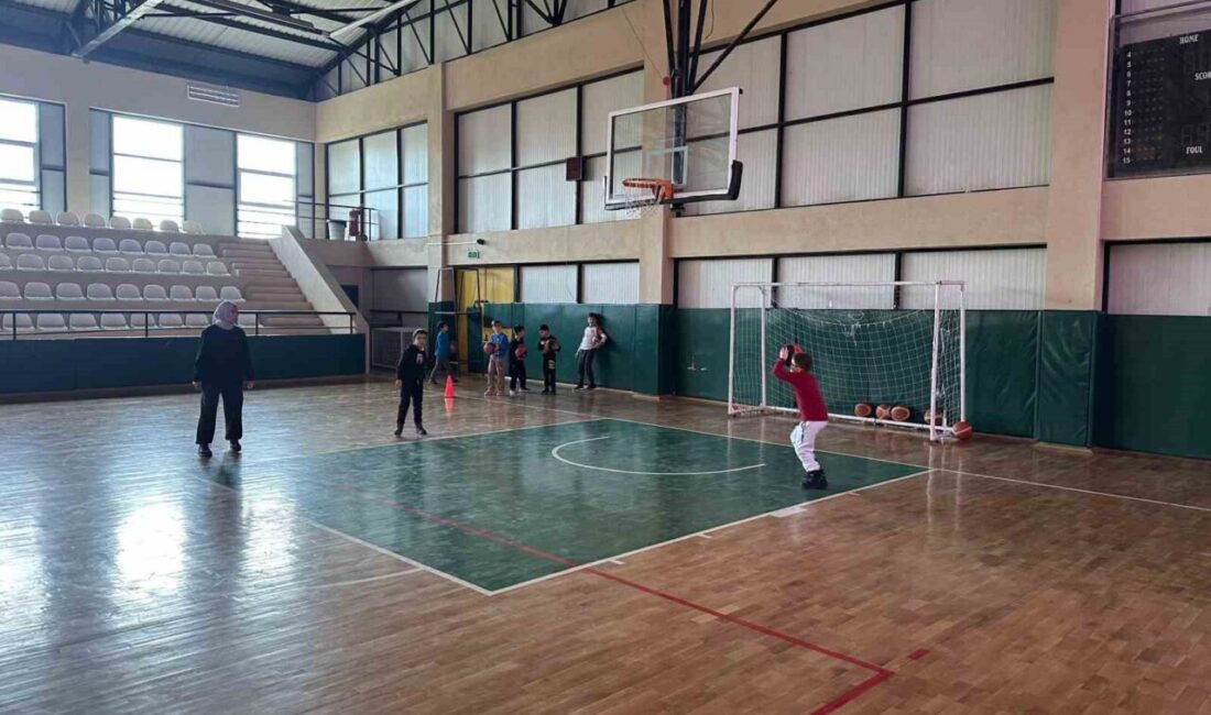 Ayvacık ilçe Gençlik ve Spor Müdürlüğü bünyesinde düzenlenen spor kursları,