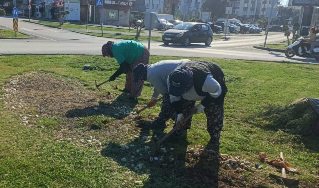 Ayvalık Belediyesi Park ve Bahçeler Müdürlüğü ekipleri, yaz kış demeden