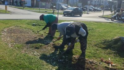 Ayvalık Belediyesi Park ve Bahçeler Müdürlüğü ekipleri, yaz kış demeden