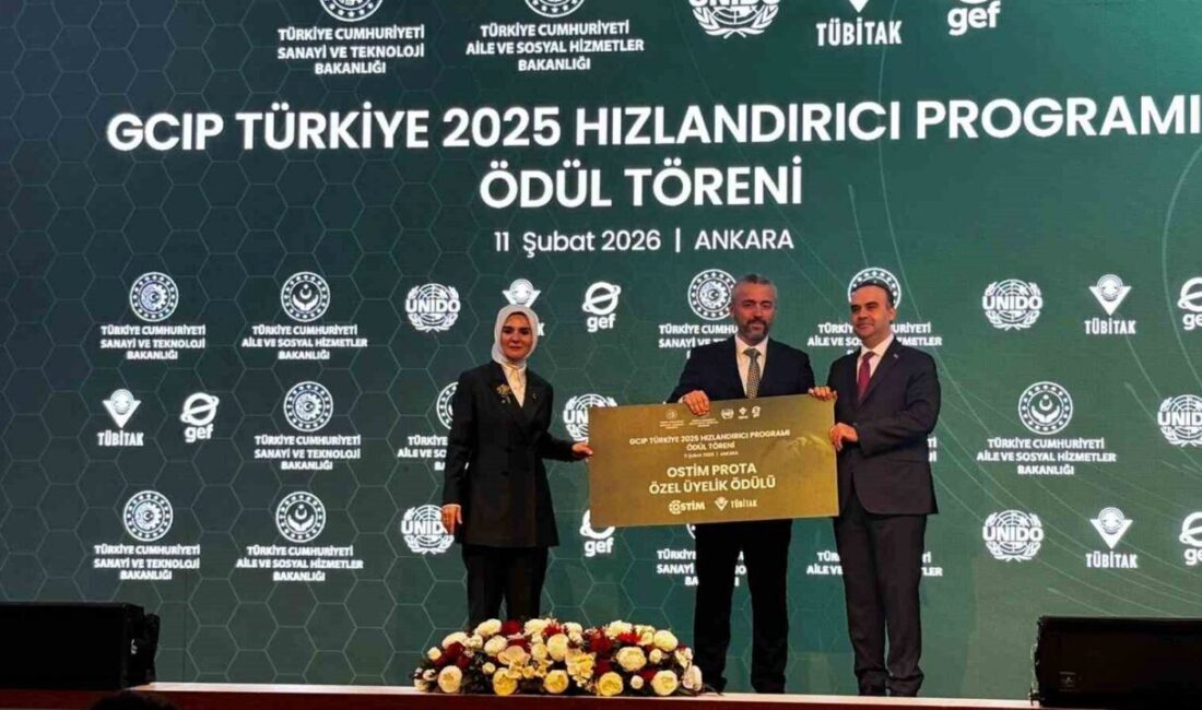 Aile ve Sosyal Hizmetler Bakanı Mahinur Özdemir Göktaş, “Oyunları kapatmak,