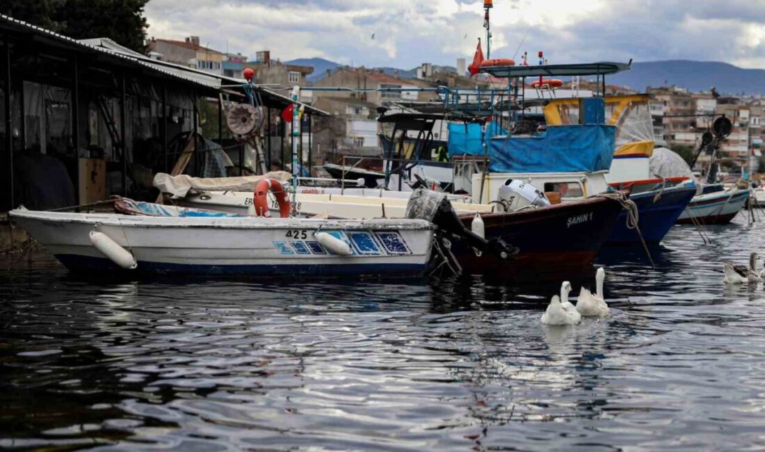 Bursa Büyükşehir Belediyesi’nin tarımsal üretimi desteklemek ve artan girdi maliyetlerini