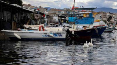 Bursa Büyükşehir Belediyesi’nin tarımsal üretimi desteklemek ve artan girdi maliyetlerini