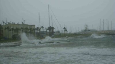 Didim İlçe Tarım ve Orman Müdürlüğü, bölgede beklenen fırtına ve