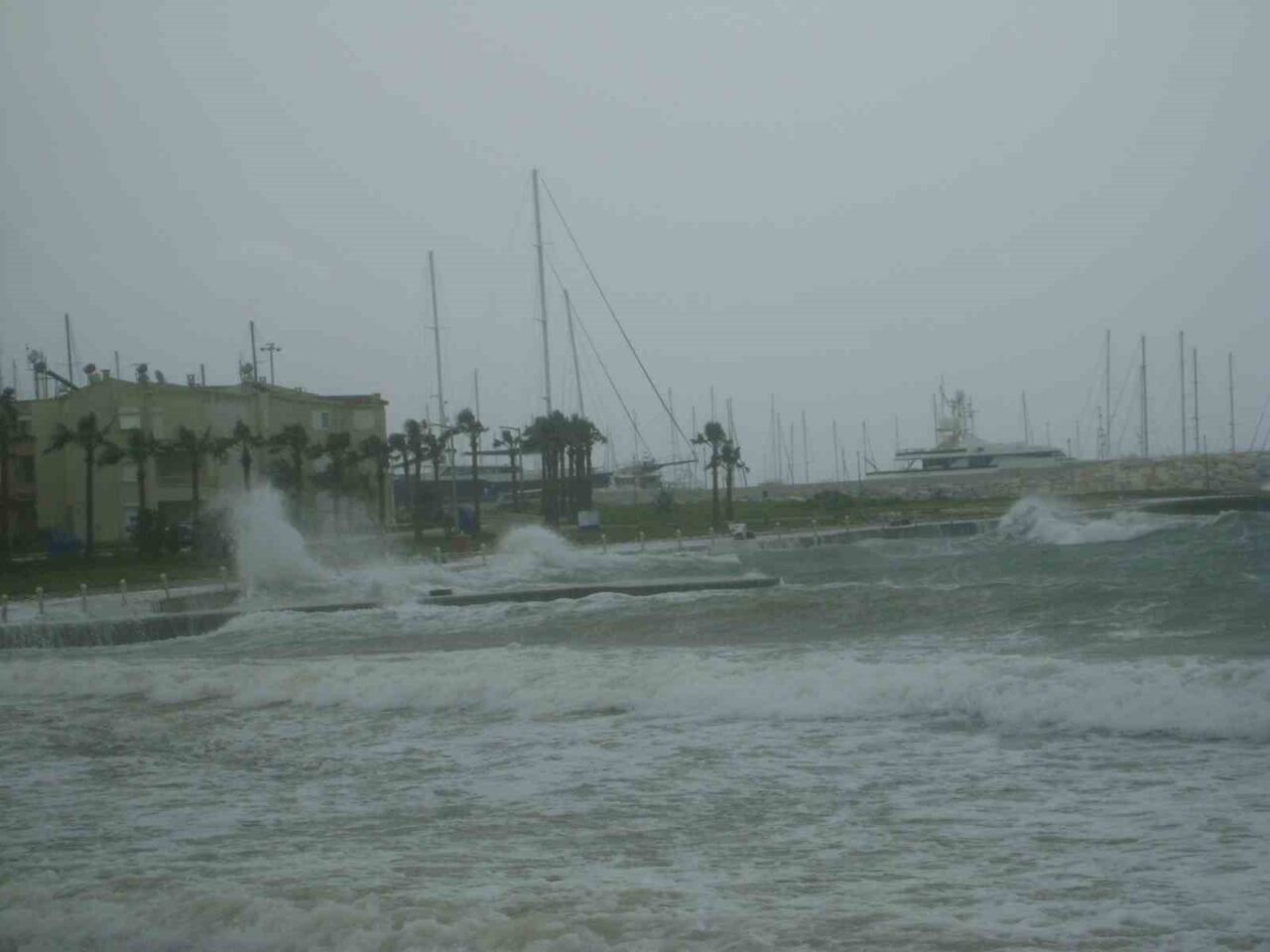 Didim İlçe Tarım ve Orman Müdürlüğü, bölgede beklenen fırtına ve