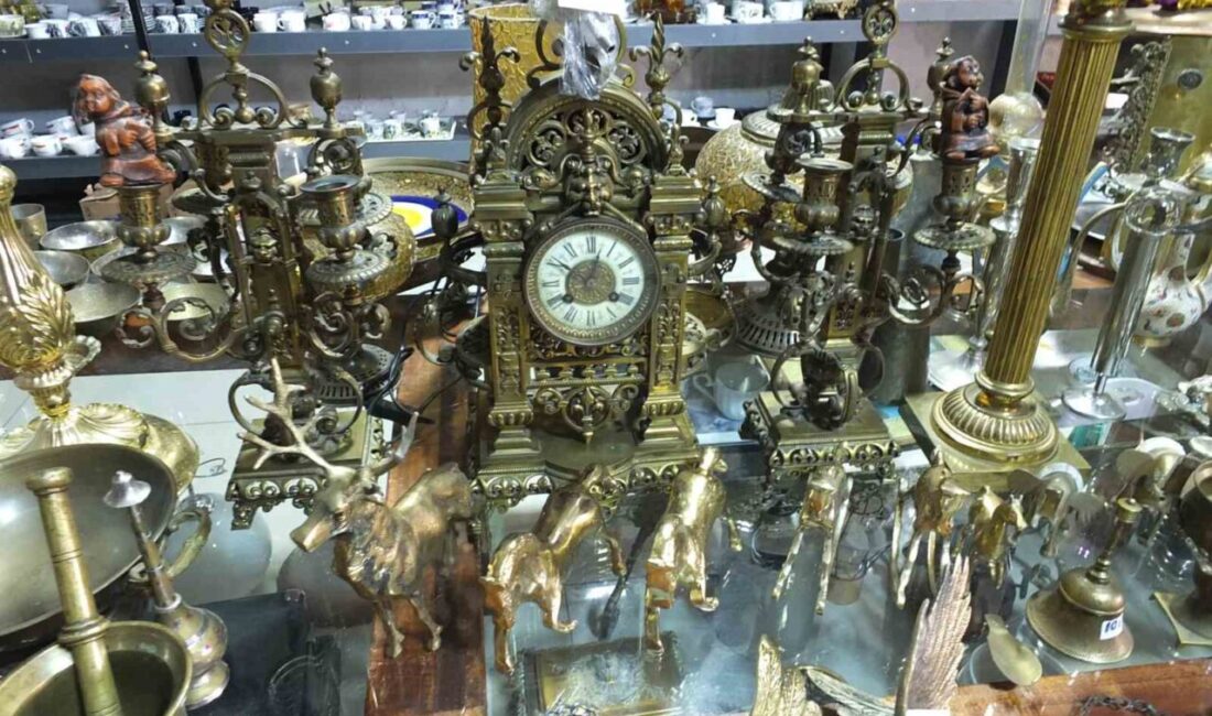 Balıkesir’in Burhaniye ilçesinde emekli makine teknisyeni Hanefi Efe (69), binin