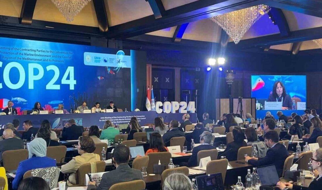 Balıkesir Büyükşehir Belediyesi, Birleşmiş Milletler Çevre Programı kapsamında Akdeniz Eylem