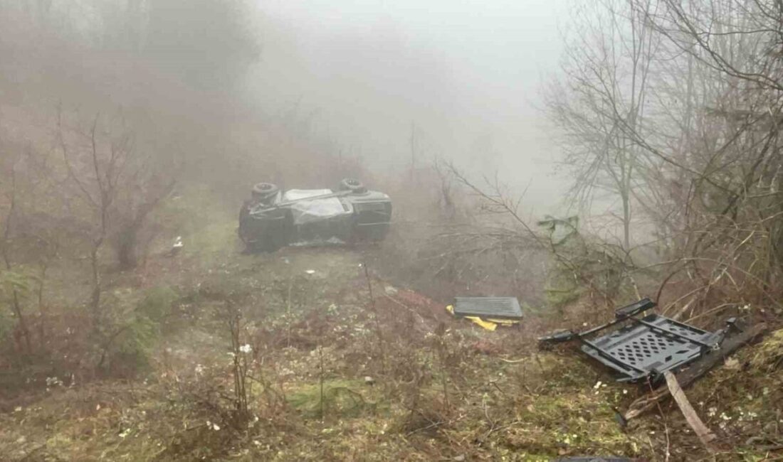 Bartın’ın Ulus ilçesine bağlı Kumluca beldesinde sis nedeniyle yoldan çıkan