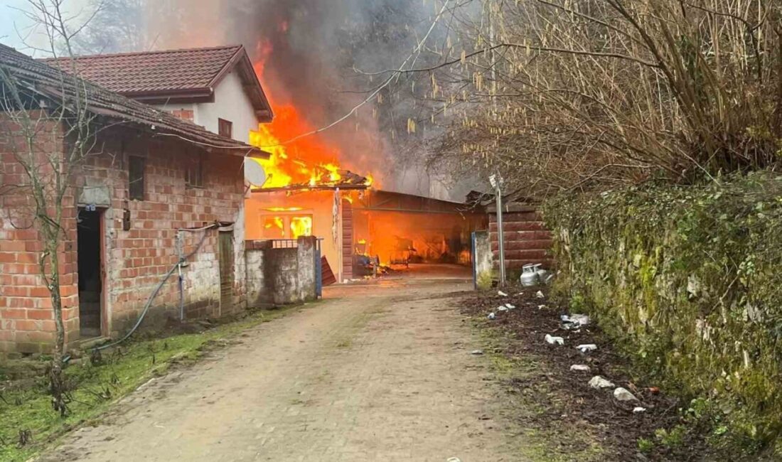 Bartın’ın Merkez ilçesine bağlı Hanyeri köyünde yaşlı çiftin yaşadığı ahşap