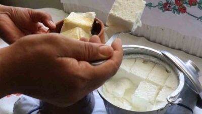 Bartın’da meşhur olan manda yoğurdu, Somut Olmayan Kültürel Miras Türkiye