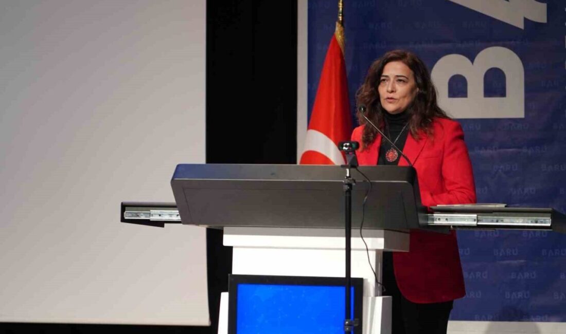 Bartın Üniversitesinde (BARÜ) düzenlenen çalıştayda dijital dolandırıcılık yöntemleri, bölgesel riskler