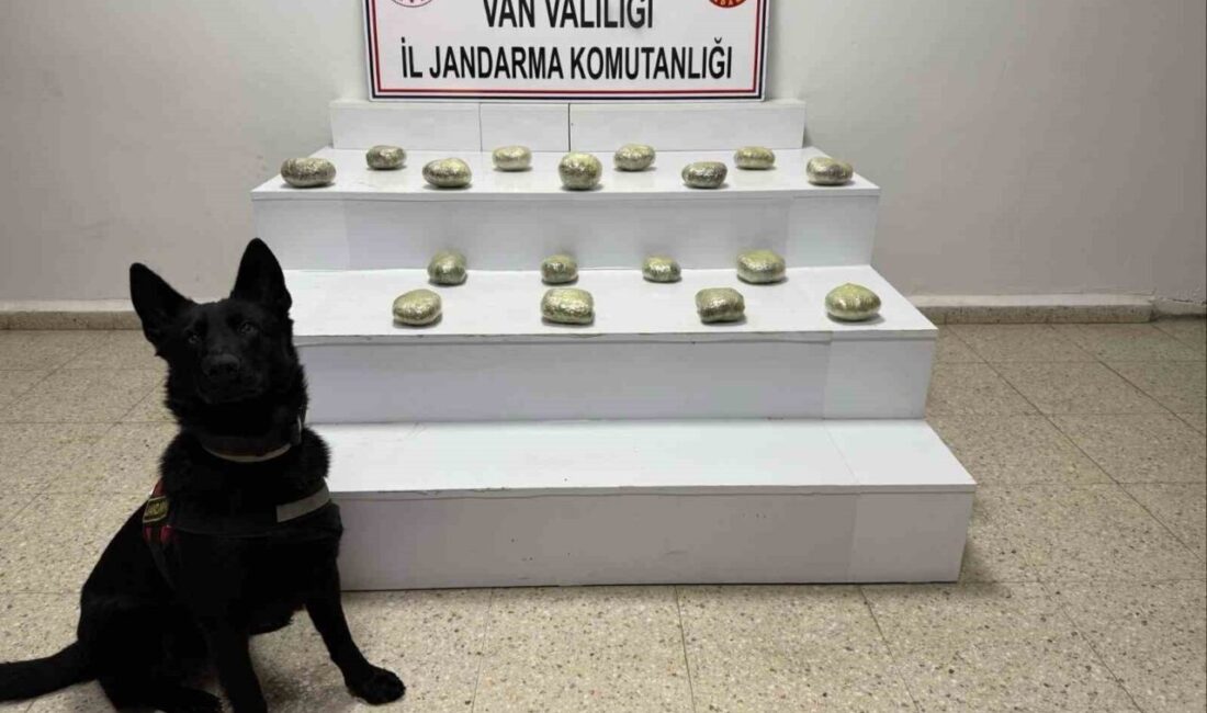 Van’ın Başkale ilçesinde jandarma ekiplerince yürütülen çalışmalar sonucunda 20 kilo