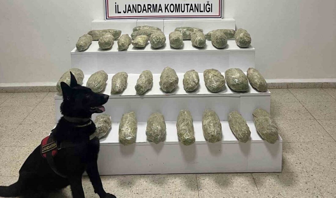 Van’ın Başkale ilçesinde jandarma ekiplerince yürütülen çalışmalar sonucunda 21 kilo