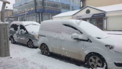 Van’ın Başkale ilçesinde etkili olan kar yağışı hayatı olumsuz yönde