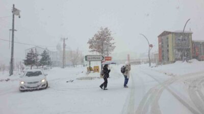Van’ın Başkale ilçesinde sabah saatlerinde itibaren etkili olan yoğun kar