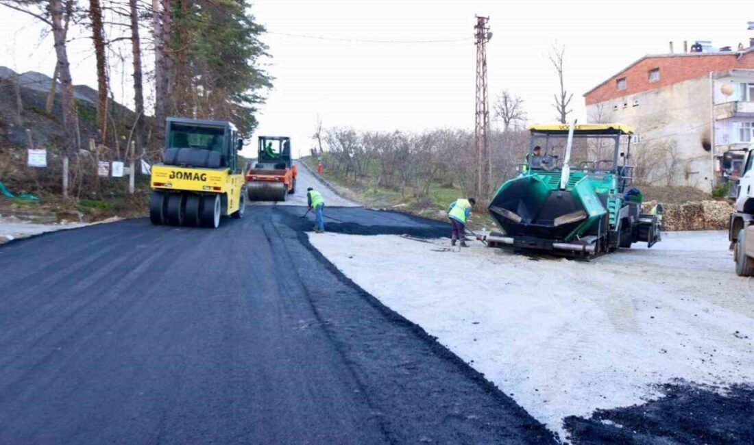 Ordu Büyükşehir Belediye Başkanı Dr. Mehmet Hilmi Güler, kiralamak yerine