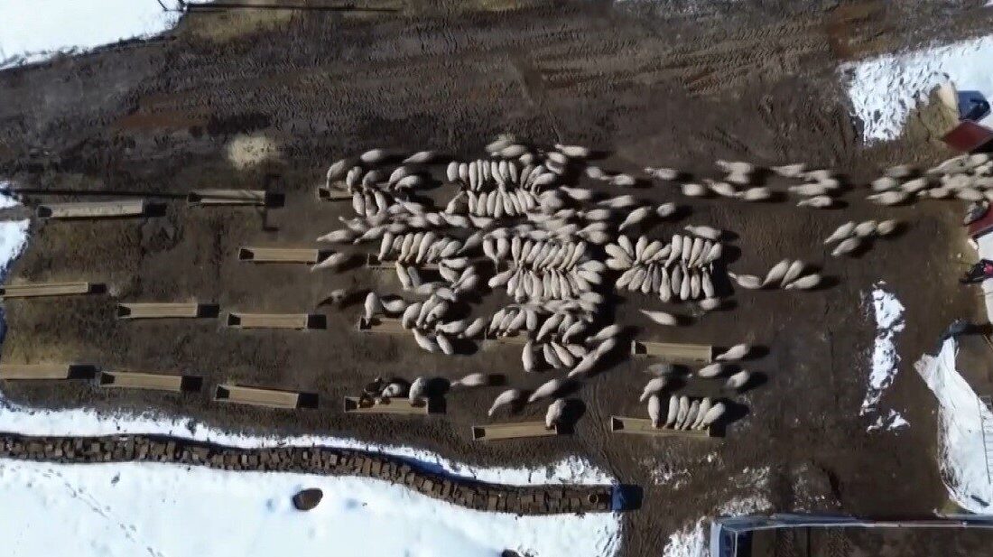 Bayburt İl Tarım ve Orman Müdürlüğü tarafından yürütülen “Bayburt Üreticisine