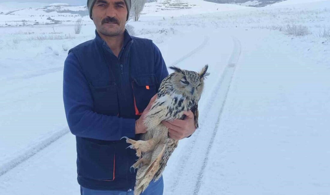 Bayburt’ta bir vatandaş, dağlık alanda yaralı halde bulduğu puhuyu aracına