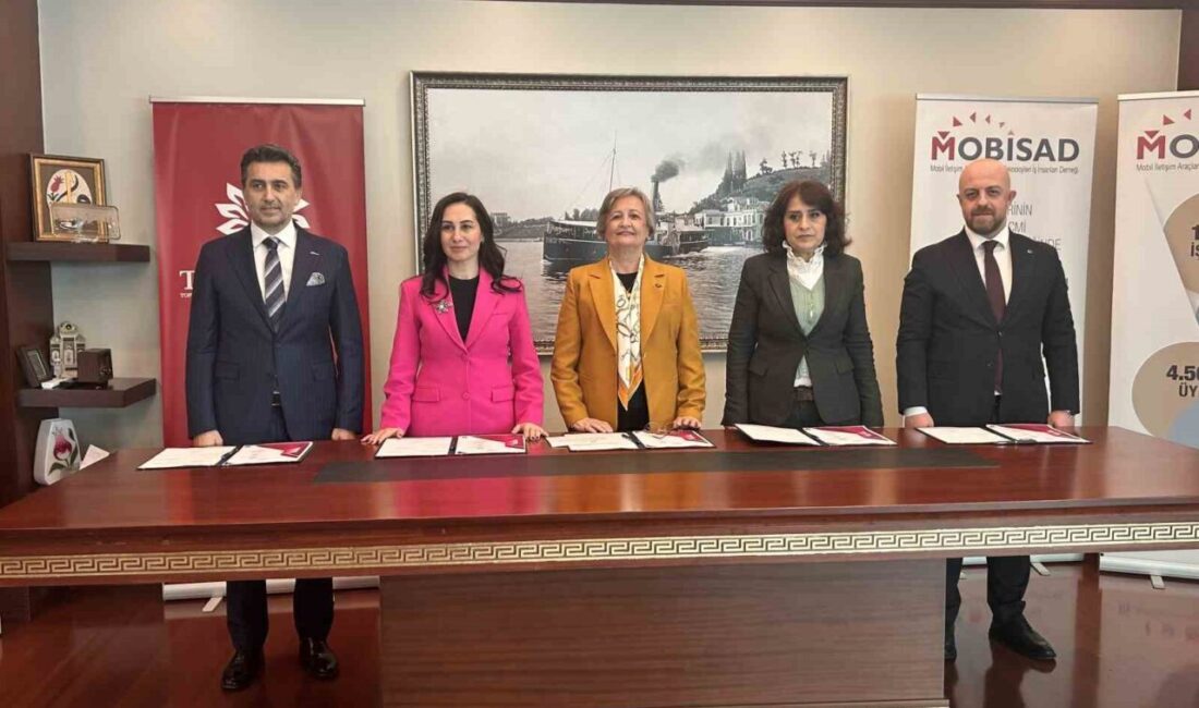 Toplumsal Gelişim Eğitim ve Sosyal Dayanışma Derneği (TOGEMDER) koordinasyonunda, Mobil