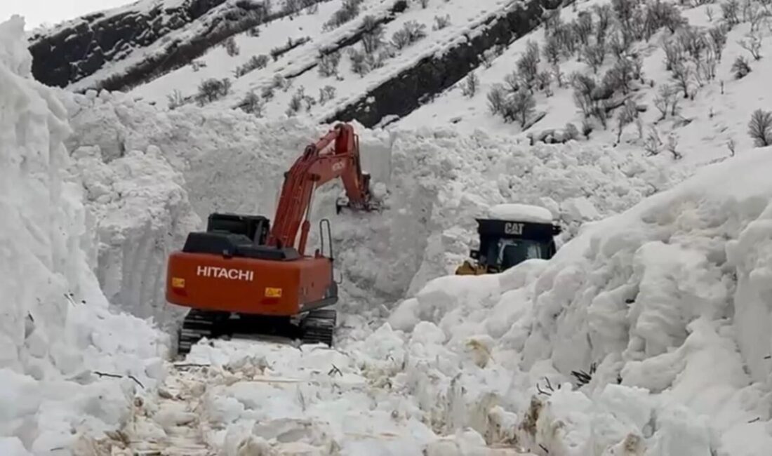 Şırnak’ın Beytüşşebap ilçesinde etkili olan yoğun kar yağışı ve ardından