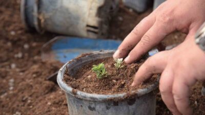 Bilecik Belediyesi ekipleri tarafından park ve bahçelerden bahara hazırlık çalışmaları