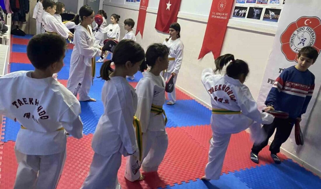 Gençlik ve Spor Bakanlığı Spor Okulları bünyesinde düzenlenen taekwondo antrenmanları