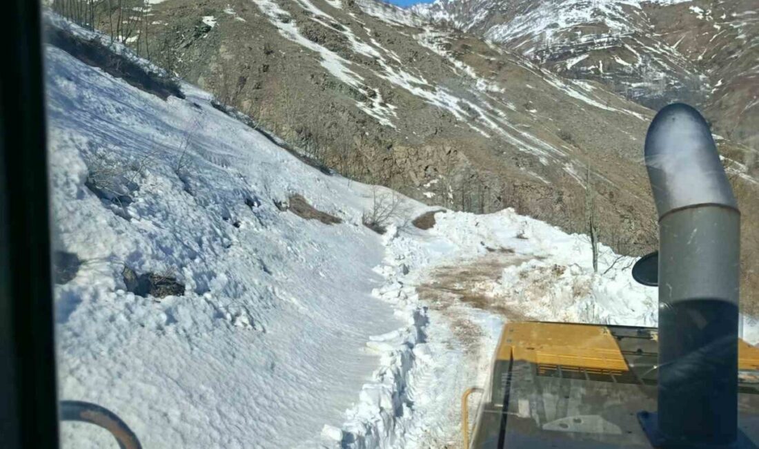 Bingöl’ün Solhan ilçesi kırsalında kar ve heyelandan dolayı kapanan yollar,