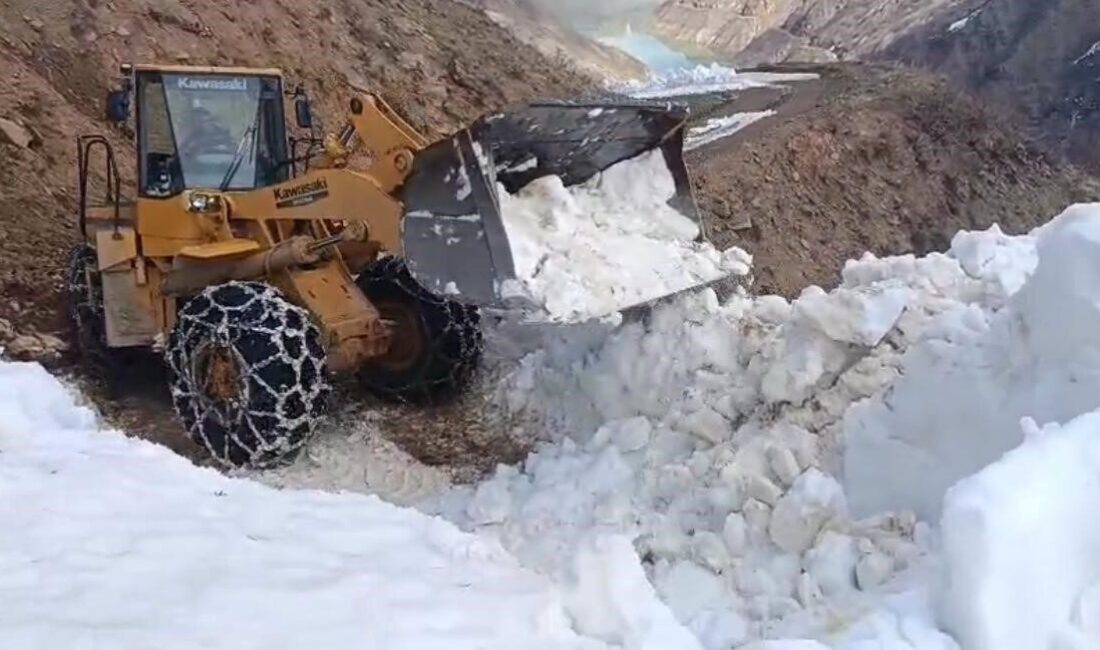 Bingöl’ün Solhan ilçesinde etkili olan kar yağışı nedeniyle kapanan köy