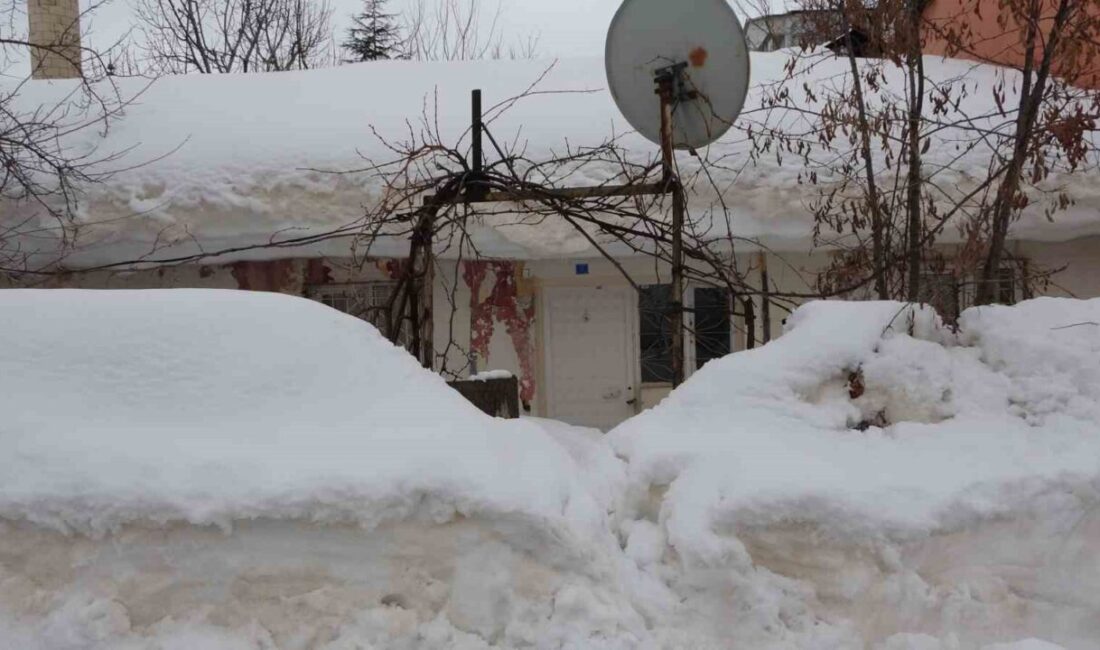 Bitlis’te etkili olan yoğun kar yağışı, kent genelinde kartpostallık manzaralar