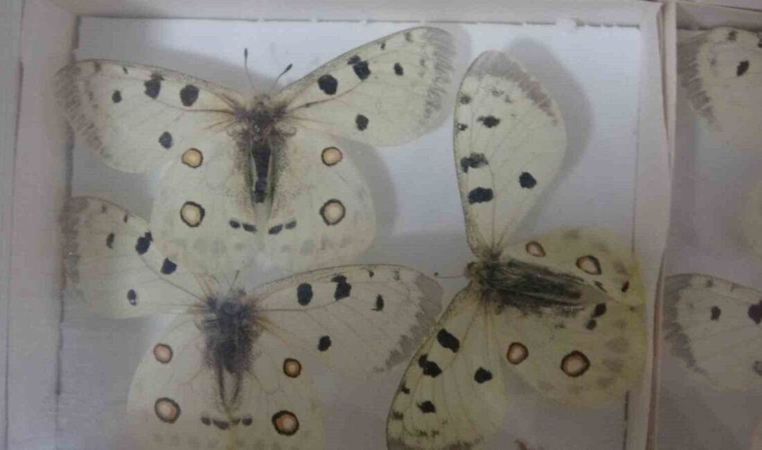 Isparta Uygulamalı Bilimler Üniversitesi Ziraat Fakültesi Bitki Koruma Bölümü bünyesinde