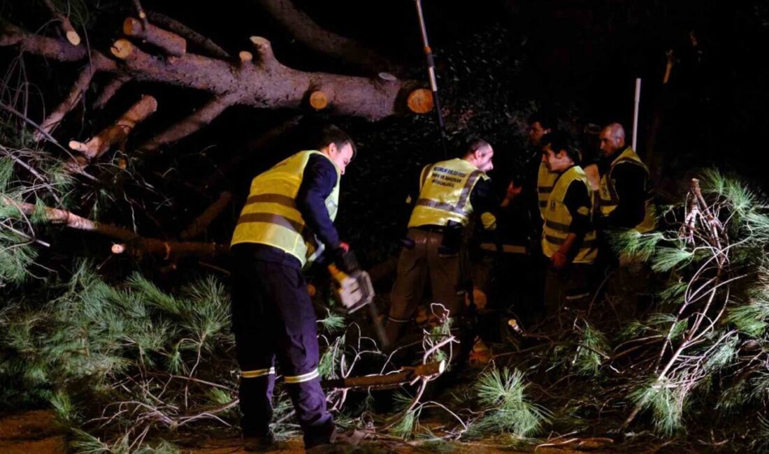 Bodrum Belediyesi Park ve Bahçeler Müdürlüğü ekipleri, dün sabah saatlerinde