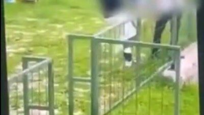 Muğla’nın Bodrum ilçesinde bir çocuğun başka bir çocuğu feci şekilde