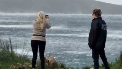 Muğla’nın Bodrum ilçesinde sabah saatlerinde başlayan ve hızı saatte 100
