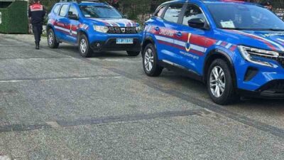 Muğla’nın Bodrum ilçesinde iki köpeğin silahla vurulduğu iddiasının ardından olayla