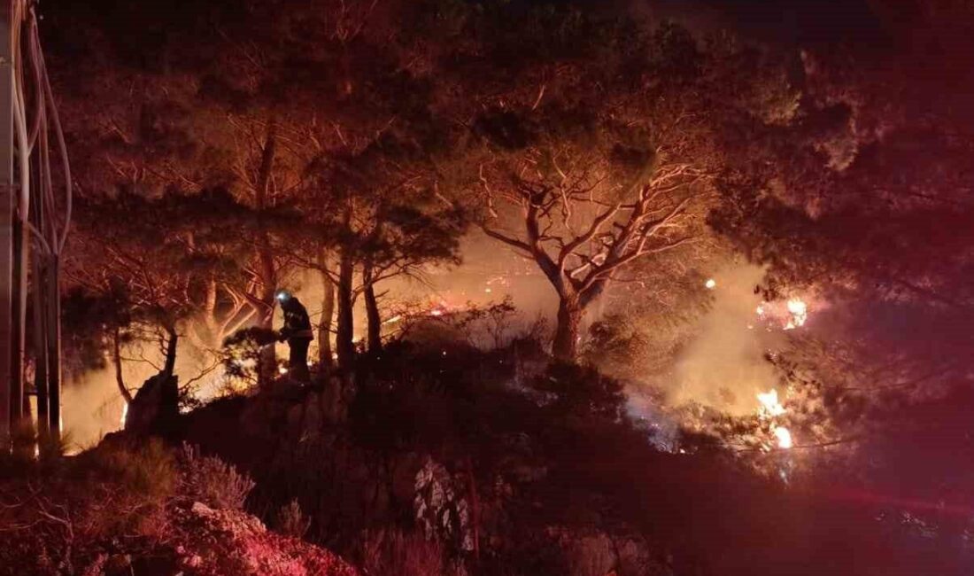 Muğla’nın Bodrum ilçesinde ormanlık alanda çıkan yangın ekiplerin müdahalesi ile