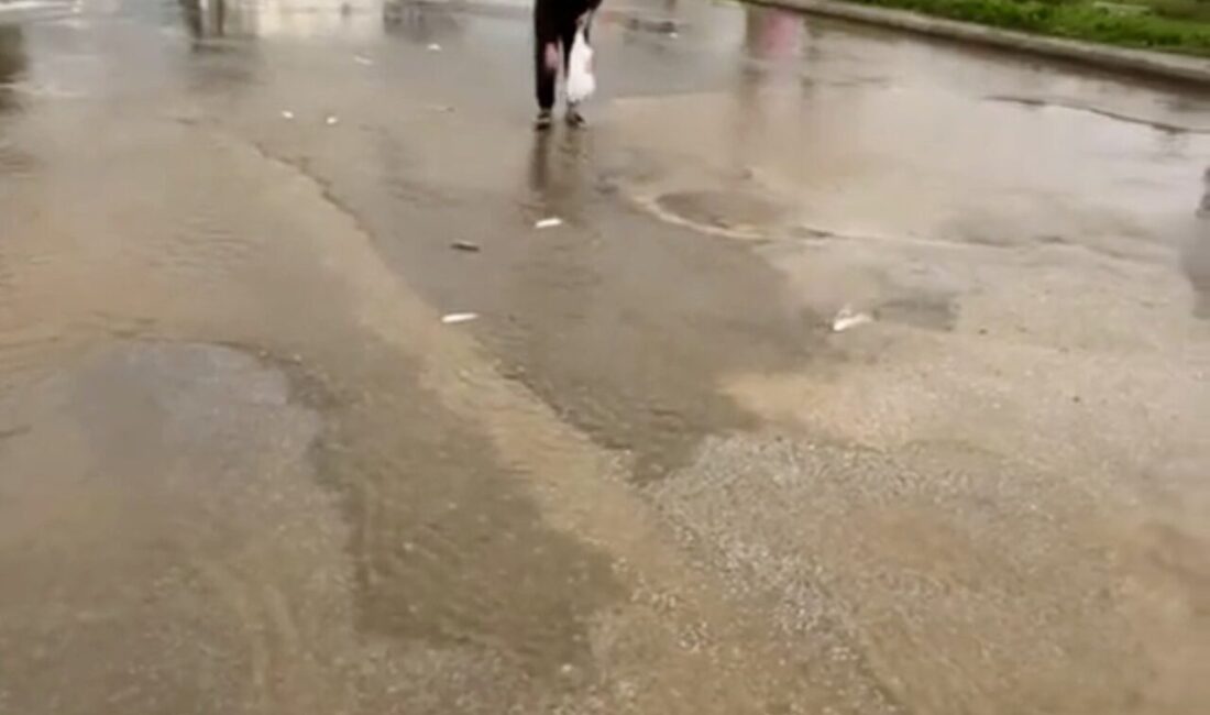 Muğla’nın Bodrum ilçesinde şiddetli yağışın ardından alışılagelmişin dışında görüntüler ortaya