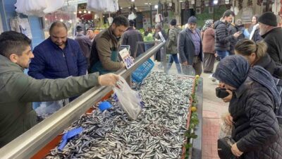 Bolu’da halk pazarındaki balık tezgahlarında bir haftadır hamsi bolluğu sürerken,