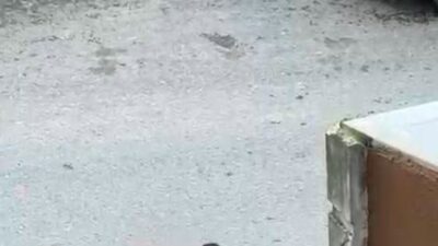 İstanbul’un Sultangazi ilçesinde boşanma aşamasında olduğu eşini sokak ortasında sevgilisi