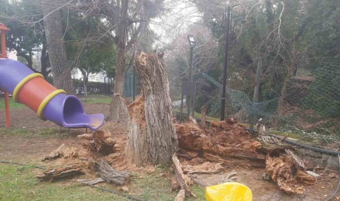 Aydın’ın Bozdoğan ilçesinde aynı saatlerde yaşanan iki ayrı olay ilçede