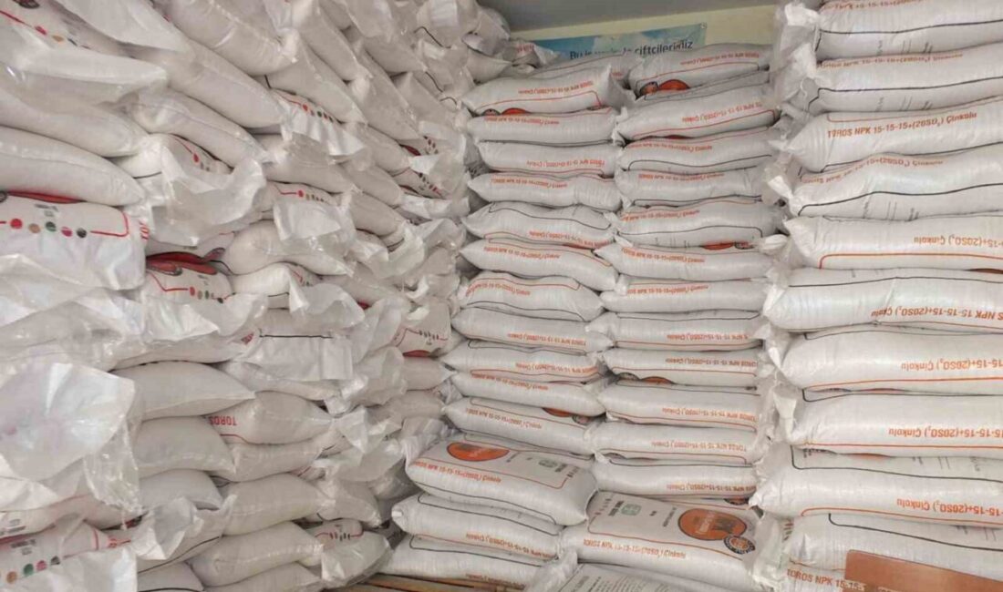 Türkiye’nin önemli zeytin üretim merkezlerinden Balıkesir’in Burhaniye ilçesinde, son yağışlar