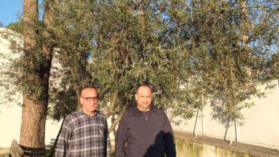 Türkiye’nin önemli zeytin üretim merkezlerinden Balıkesir’in Burhaniye ilçesinde, bir haftadan