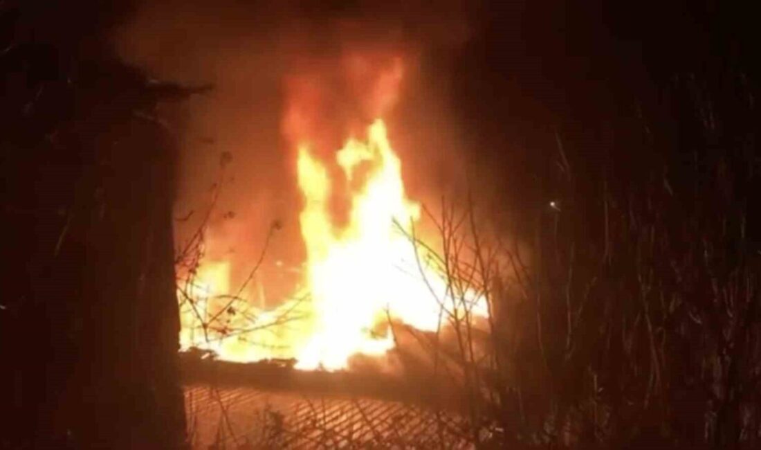 Bursa’nın İznik ilçesine bağlı Göllüce Mahallesi’nde çıkan yangında 2 katlı